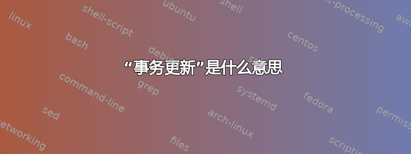 “事务更新”是什么意思