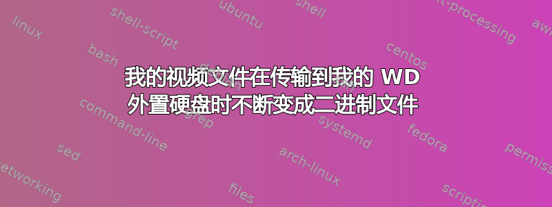 我的视频文件在传输到我的 WD 外置硬盘时不断变成二进制文件