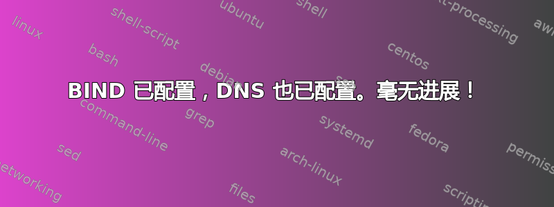 BIND 已配置，DNS 也已配置。毫无进展！