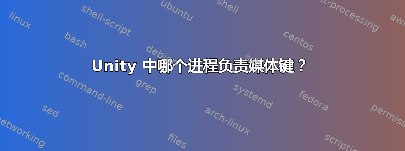 Unity 中哪个进程负责媒体键？