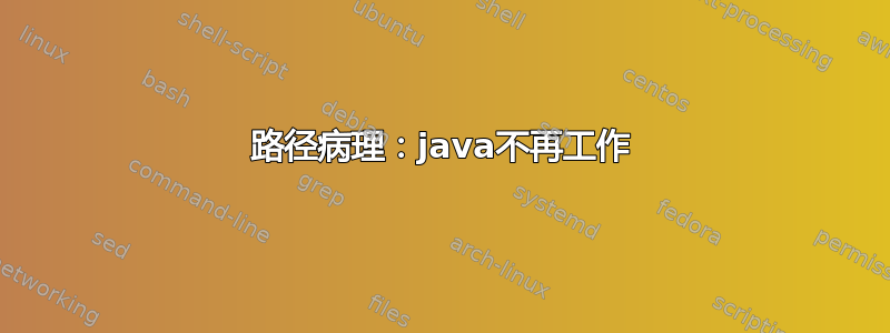 路径病理：java不再工作