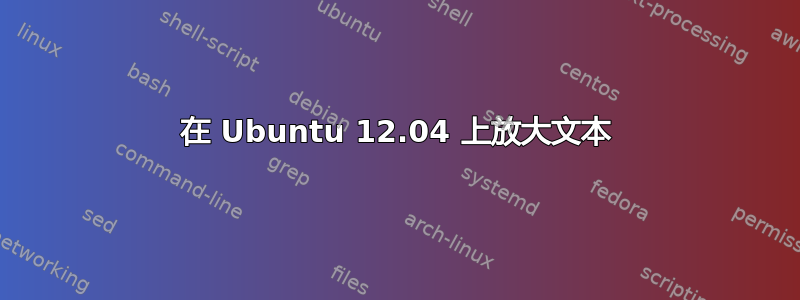 在 Ubuntu 12.04 上放大文本