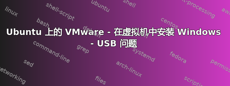 Ubuntu 上的 VMware - 在虚拟机中安装 Windows - USB 问题