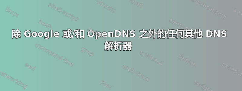 除 Google 或/和 OpenDNS 之外的任何其他 DNS 解析器 