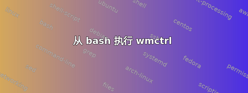 从 bash 执行 wmctrl