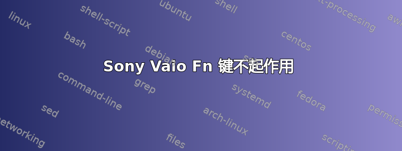 Sony Vaio Fn 键不起作用