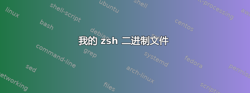 我的 zsh 二进制文件