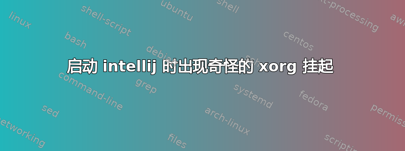 启动 intellij 时出现奇怪的 xorg 挂起