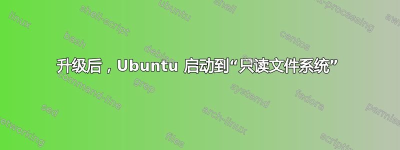 升级后，Ubuntu 启动到“只读文件系统”