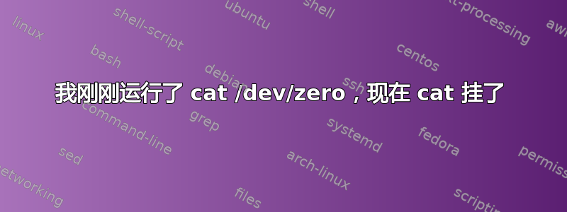 我刚刚运行了 cat /dev/zero，现在 cat 挂了