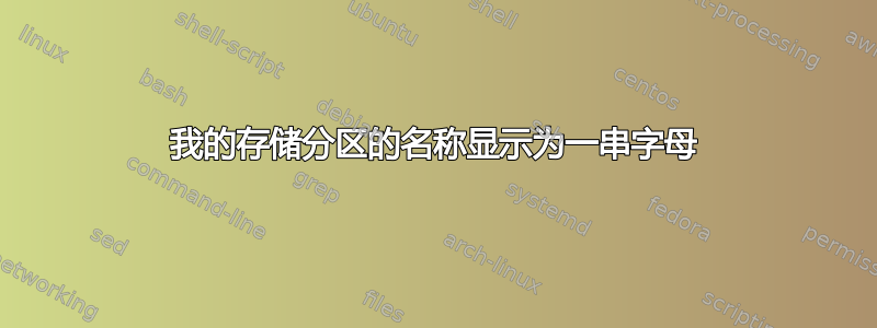 我的存储分区的名称显示为一串字母