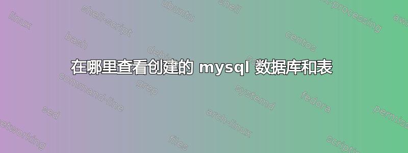 在哪里查看创建的 mysql 数据库和表