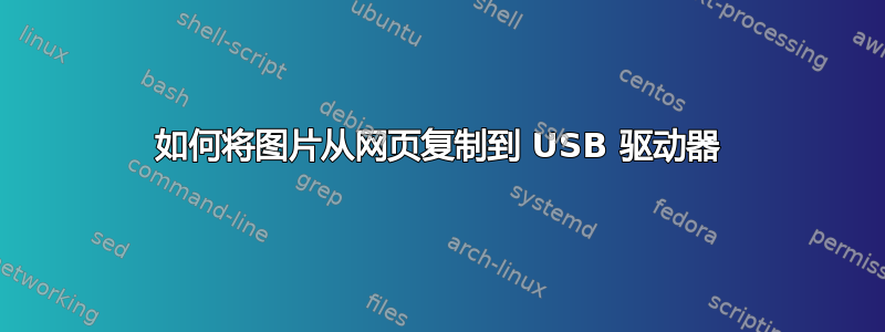 如何将图片从网页复制到 USB 驱动器