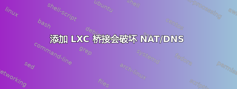 添加 LXC 桥接会破坏 NAT/DNS