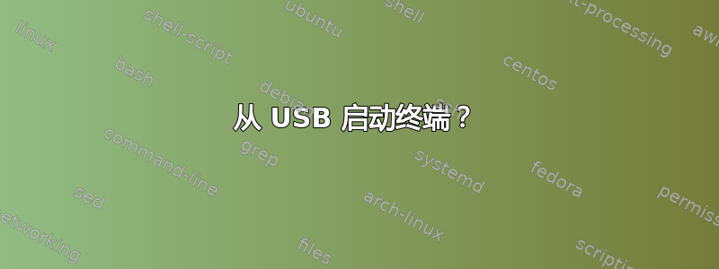 从 USB 启动终端？