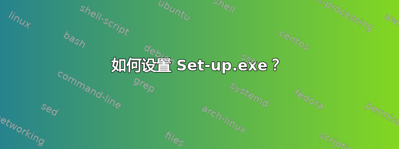 如何设置 Set-up.exe？