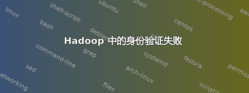 Hadoop 中的身份验证失败