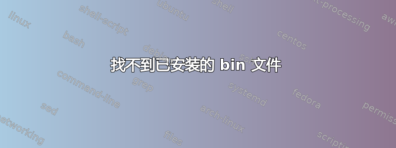 找不到已安装的 bin 文件