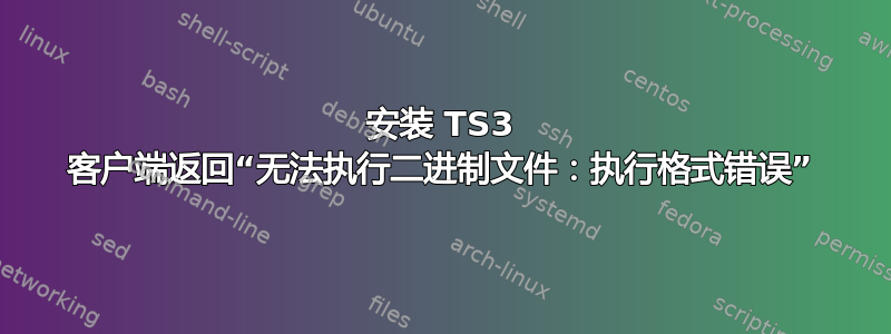 安装 TS3 客户端返回“无法执行二进制文件：执行格式错误”