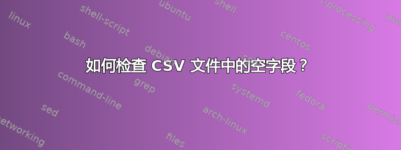 如何检查 CSV 文件中的空字段？