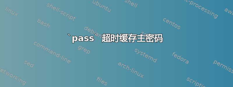 `pass` 超时缓存主密码