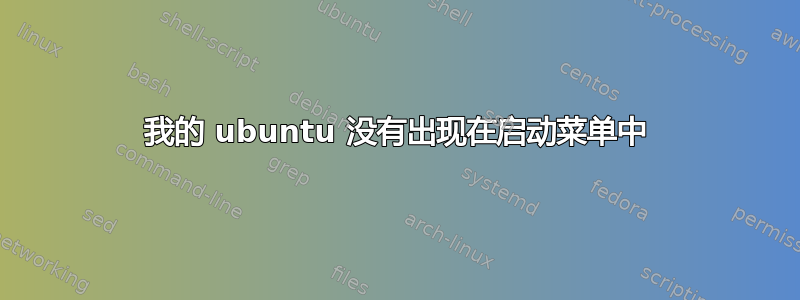 我的 ubuntu 没有出现在启动菜单中