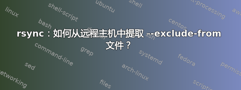 rsync：如何从远程主机中提取 --exclude-from 文件？