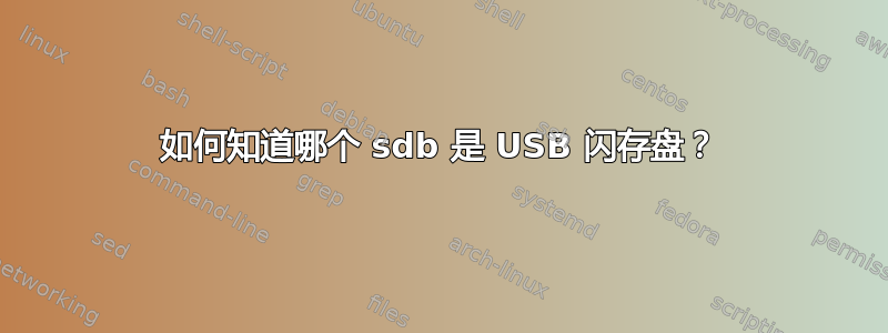 如何知道哪个 sdb 是 USB 闪存盘？