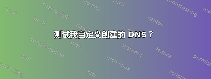 测试我自定义创建的 DNS？