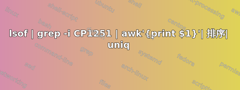 lsof | grep -i CP1251 | awk'{print $1}'| 排序| uniq