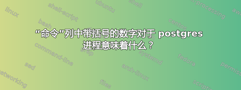 “命令”列中带括号的数字对于 postgres 进程意味着什么？