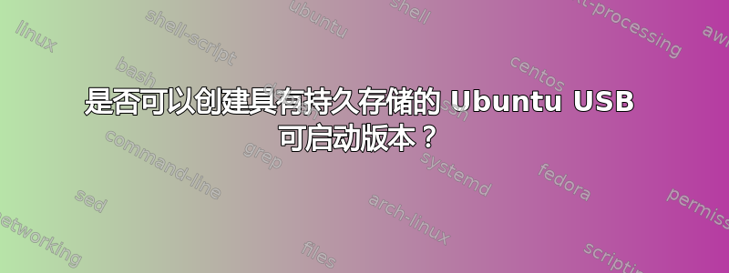 是否可以创建具有持久存储的 Ubuntu USB 可启动版本？