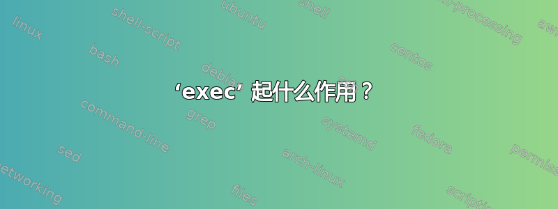 ‘exec’ 起什么作用？