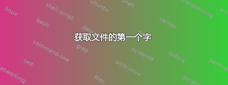 获取文件的第一个字