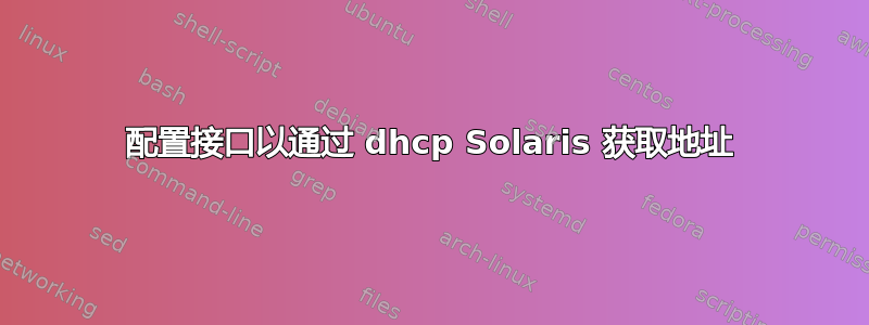 配置接口以通过 dhcp Solaris 获取地址