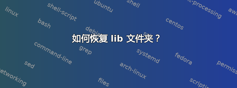 如何恢复 lib 文件夹？