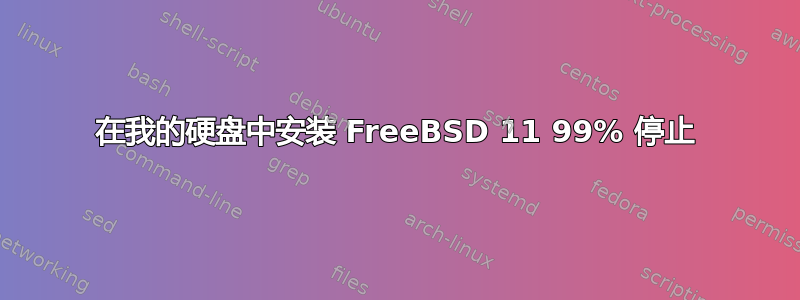 在我的硬盘中安装 FreeBSD 11 99% 停止