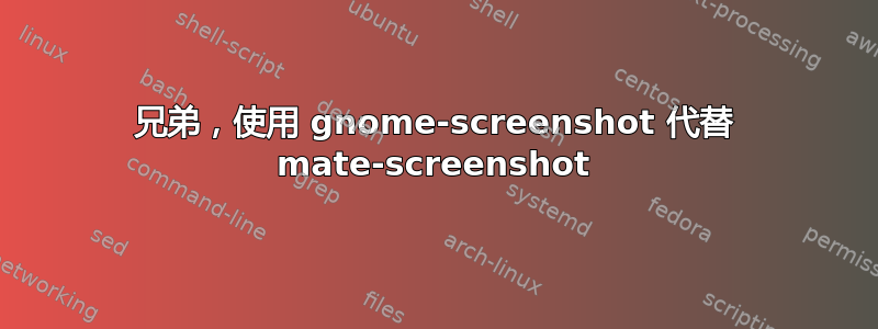 兄弟，使用 gnome-screenshot 代替 mate-screenshot