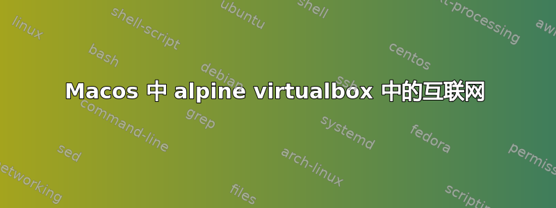 Macos 中 alpine virtualbox 中的互联网