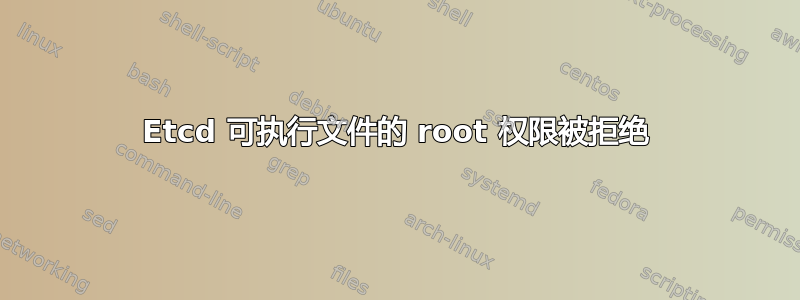 Etcd 可执行文件的 root 权限被拒绝