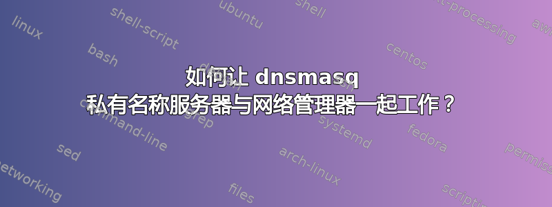 如何让 dnsmasq 私有名称服务器与网络管理器一起工作？