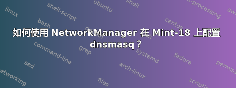 如何使用 NetworkManager 在 Mint-18 上配置 dnsmasq？