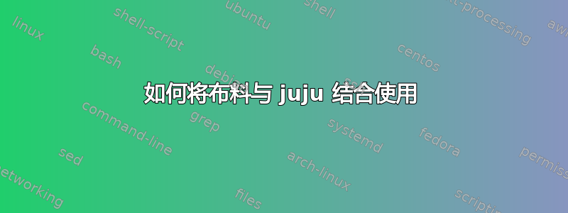 如何将布料与 juju 结合使用