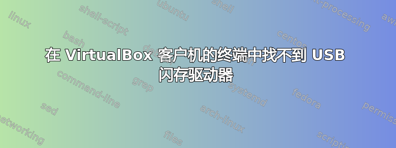 在 VirtualBox 客户机的终端中找不到 USB 闪存驱动器