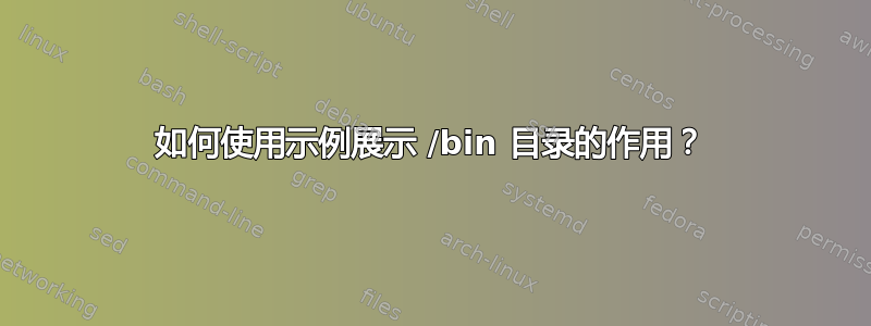 如何使用示例展示 /bin 目录的作用？