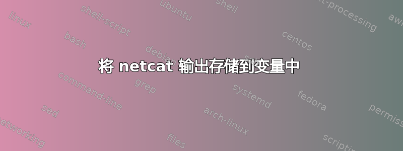 将 netcat 输出存储到变量中