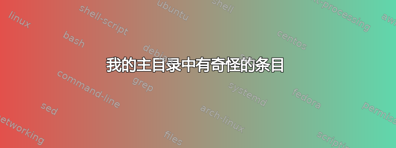 我的主目录中有奇怪的条目