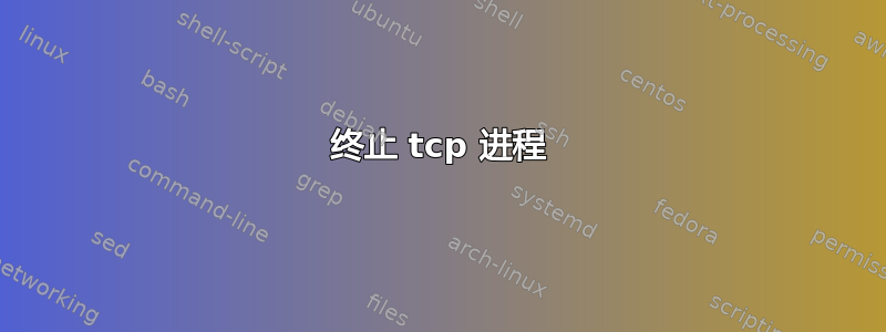 终止 tcp 进程