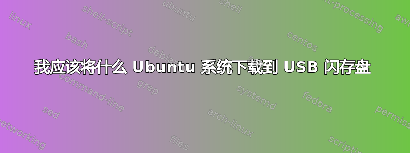 我应该将什么 Ubuntu 系统下载到 USB 闪存盘