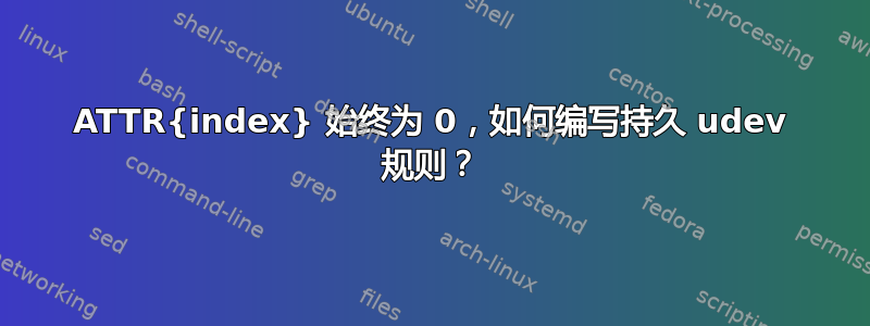 ATTR{index} 始终为 0，如何编写持久 udev 规则？